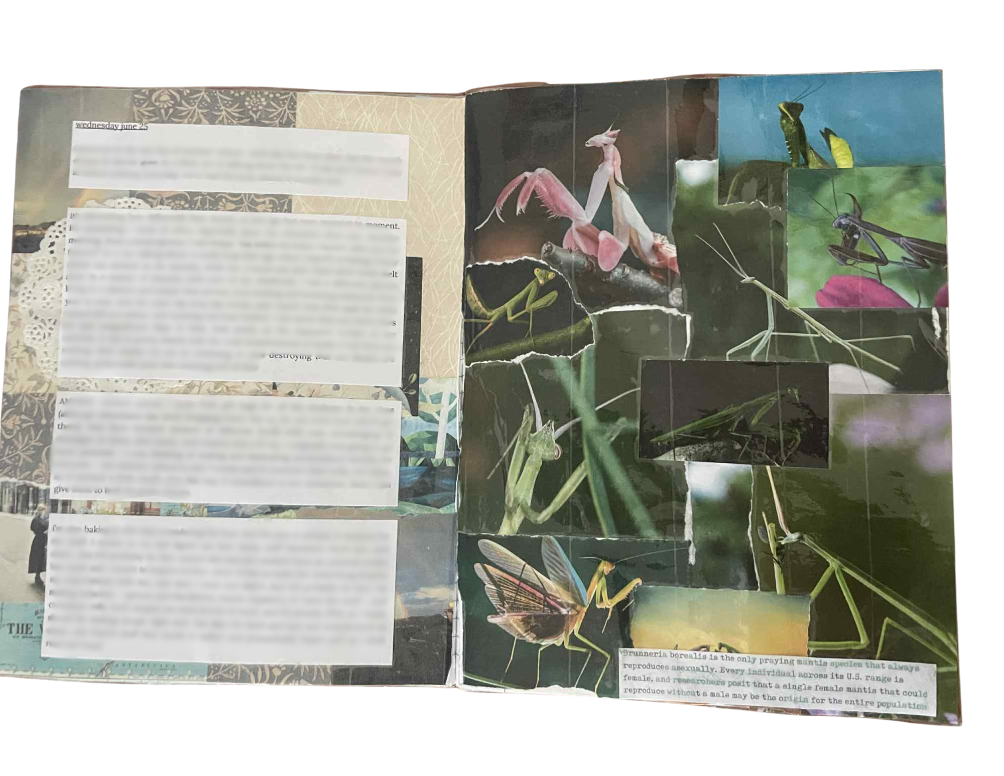 journal page