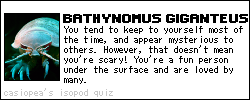 quiz